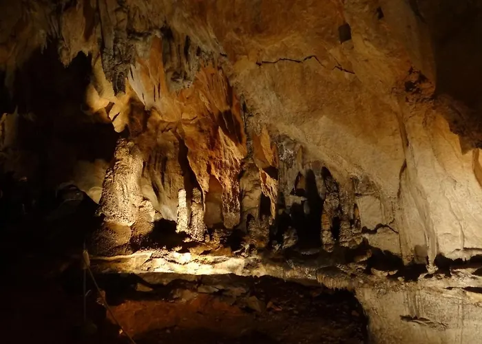 4m 아파트 고르니 카린