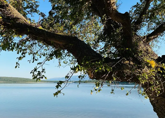 Апартаменты 4m *