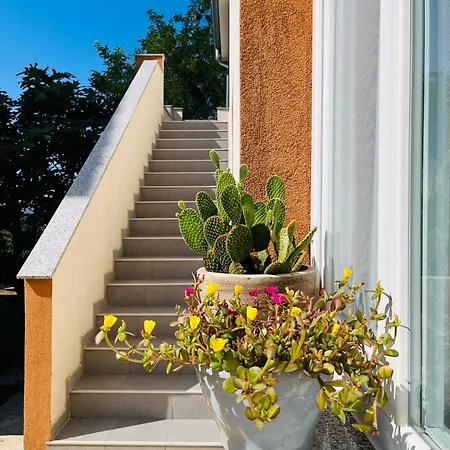 4m Apartament *